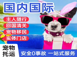 大连周水子航空运输国际宠物托运 【国